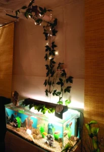 Hydda akvarium
