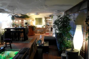 Tullhuset SPA mysiga lokaler